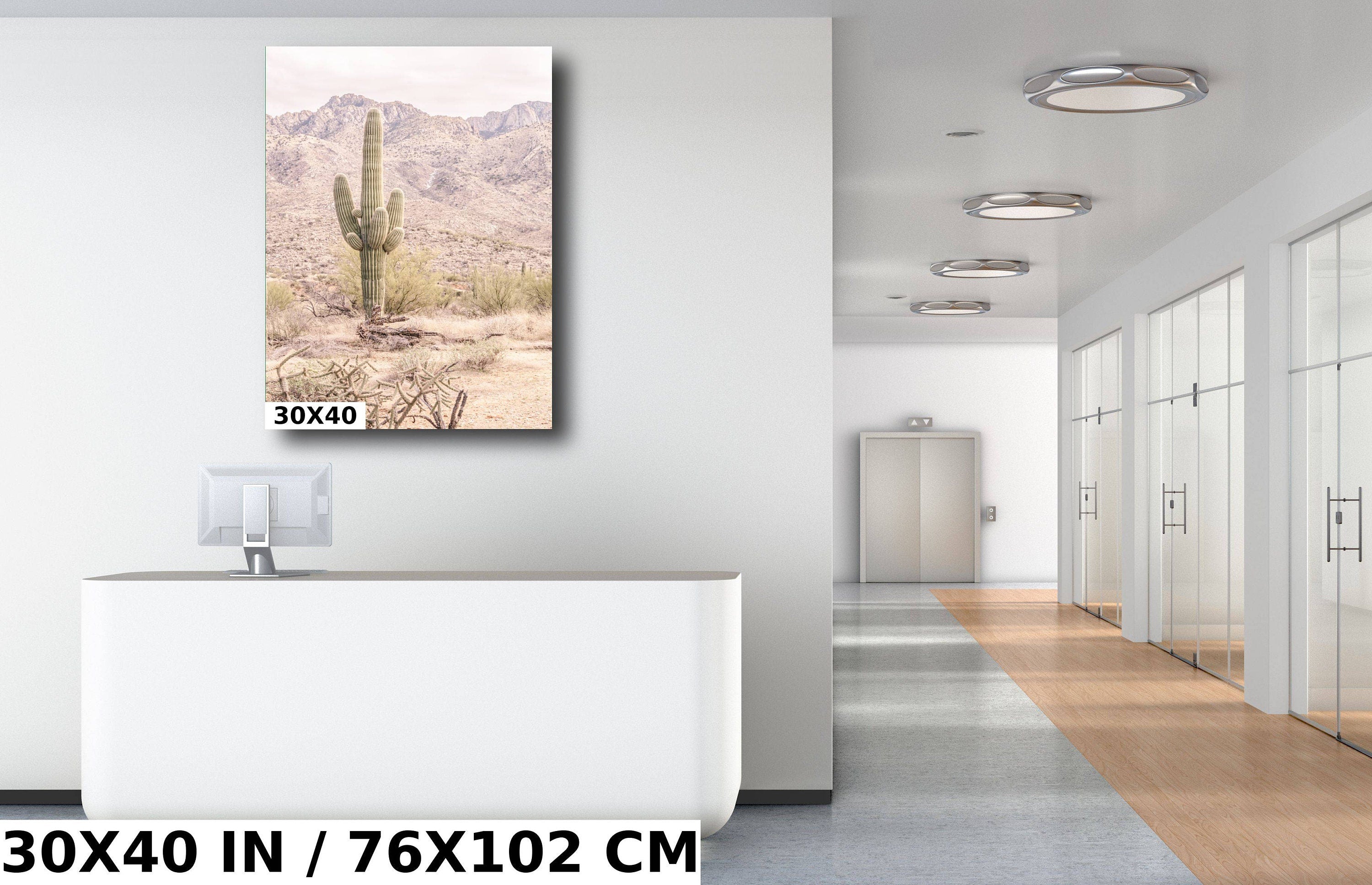 Saguaro Cactus: Catalina Mountains Arizona Southwestern Wall Art