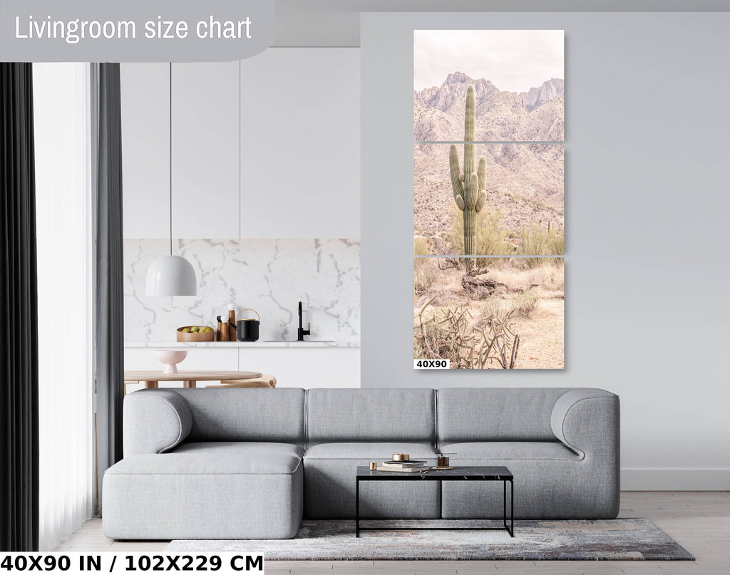 Saguaro Cactus: Catalina Mountains Arizona Southwestern Wall Art