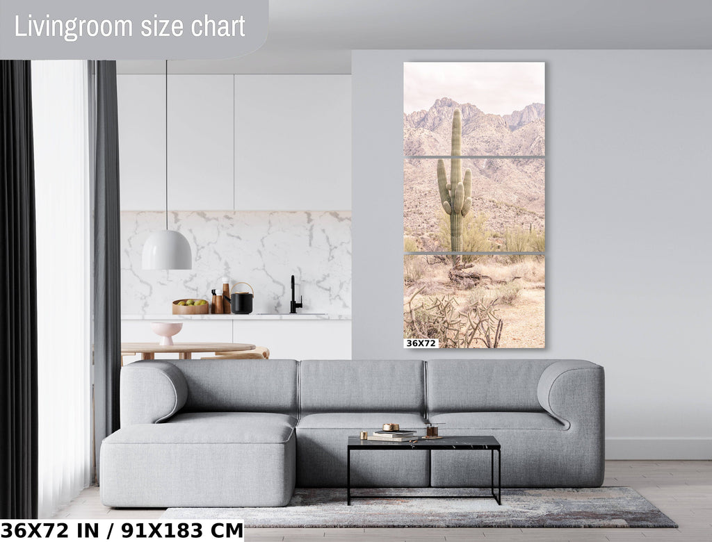 Saguaro Cactus: Catalina Mountains Arizona Southwestern Wall Art