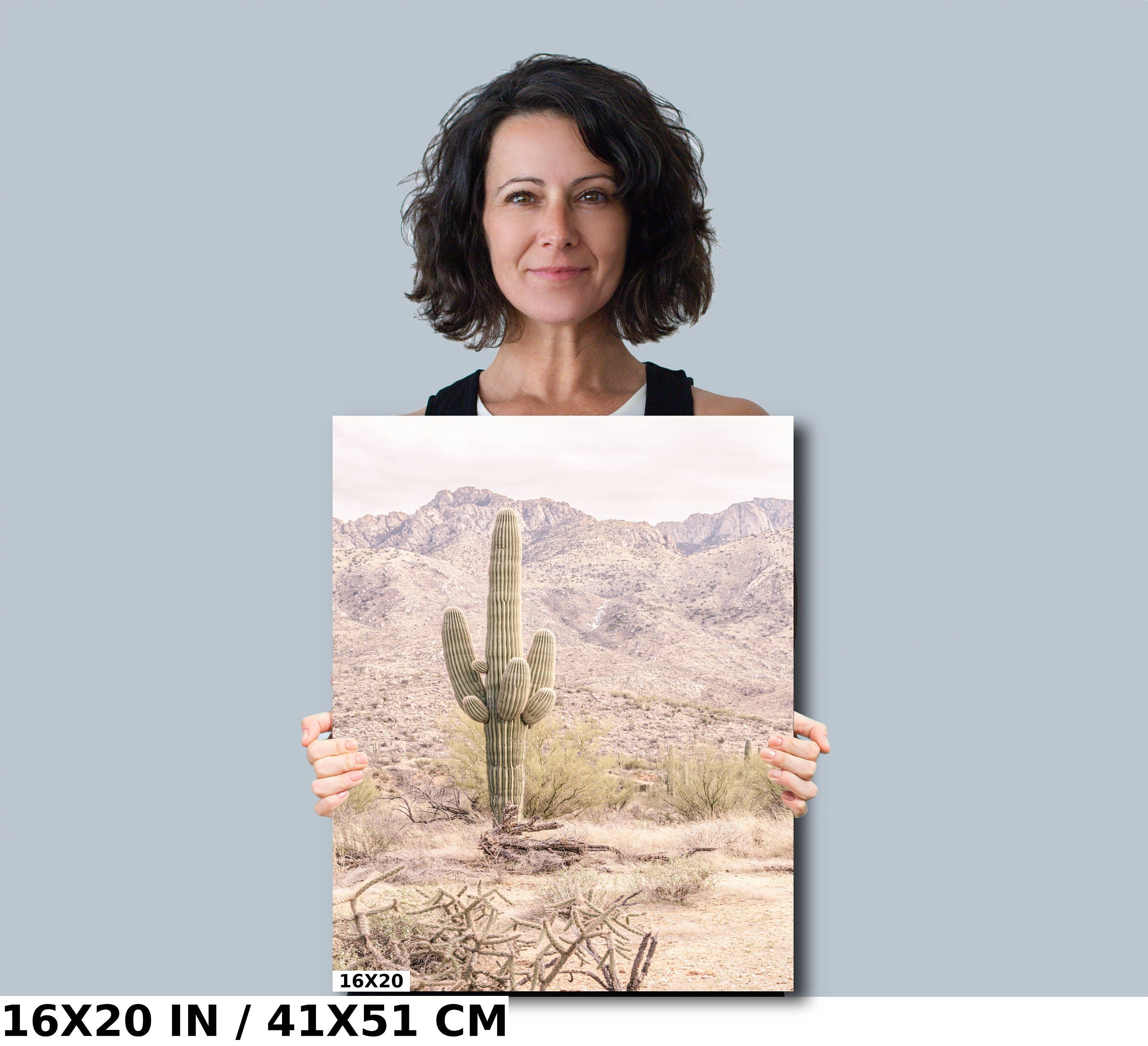 Saguaro Cactus: Catalina Mountains Arizona Southwestern Wall Art