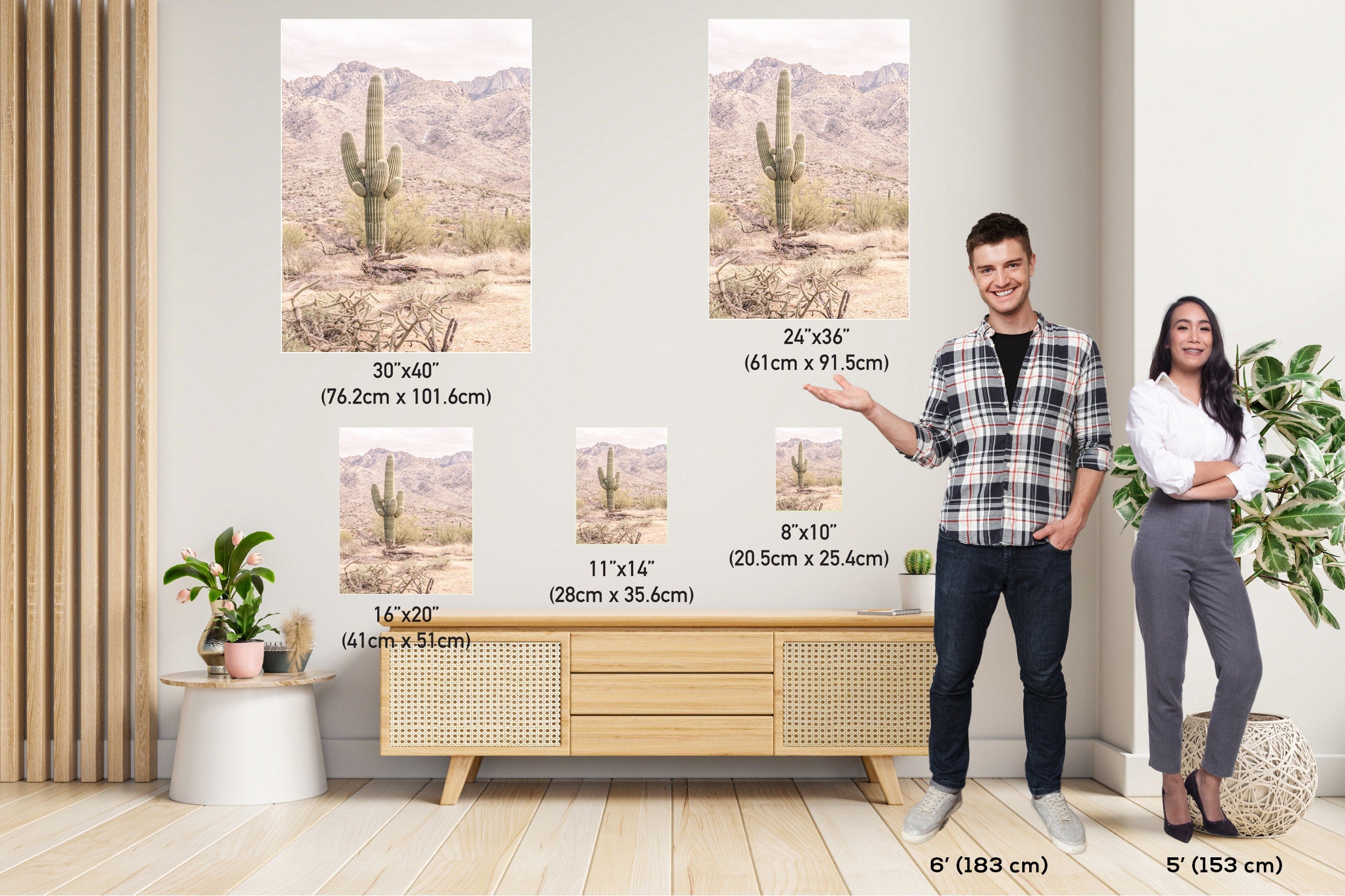 Saguaro Cactus: Catalina Mountains Arizona Southwestern Wall Art
