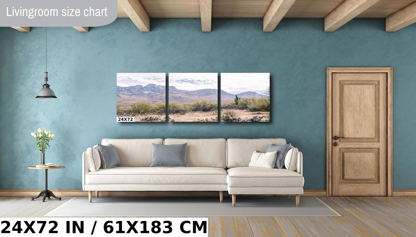 Catalina State Park: Arizona Desert Mountain Landscape Wall Art