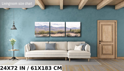 Catalina State Park: Arizona Desert Mountain Landscape Wall Art