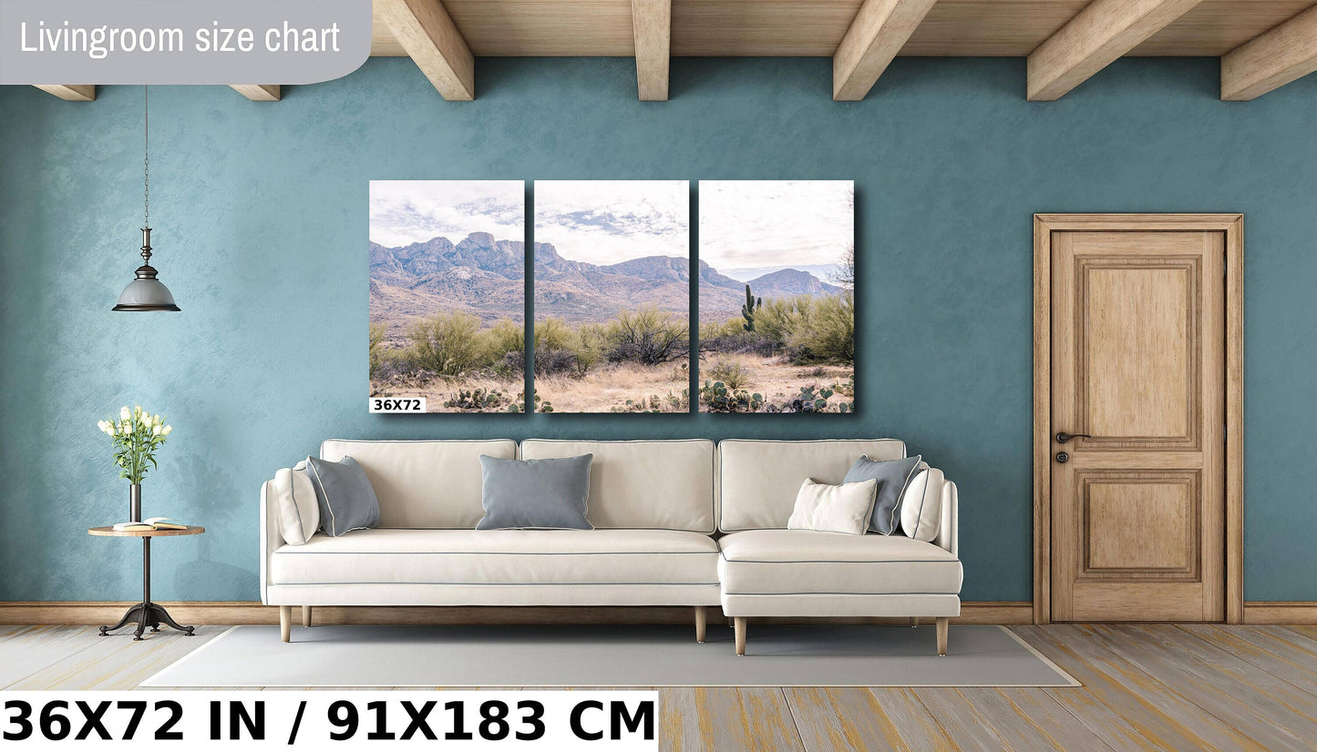 Catalina State Park: Arizona Desert Mountain Landscape Wall Art