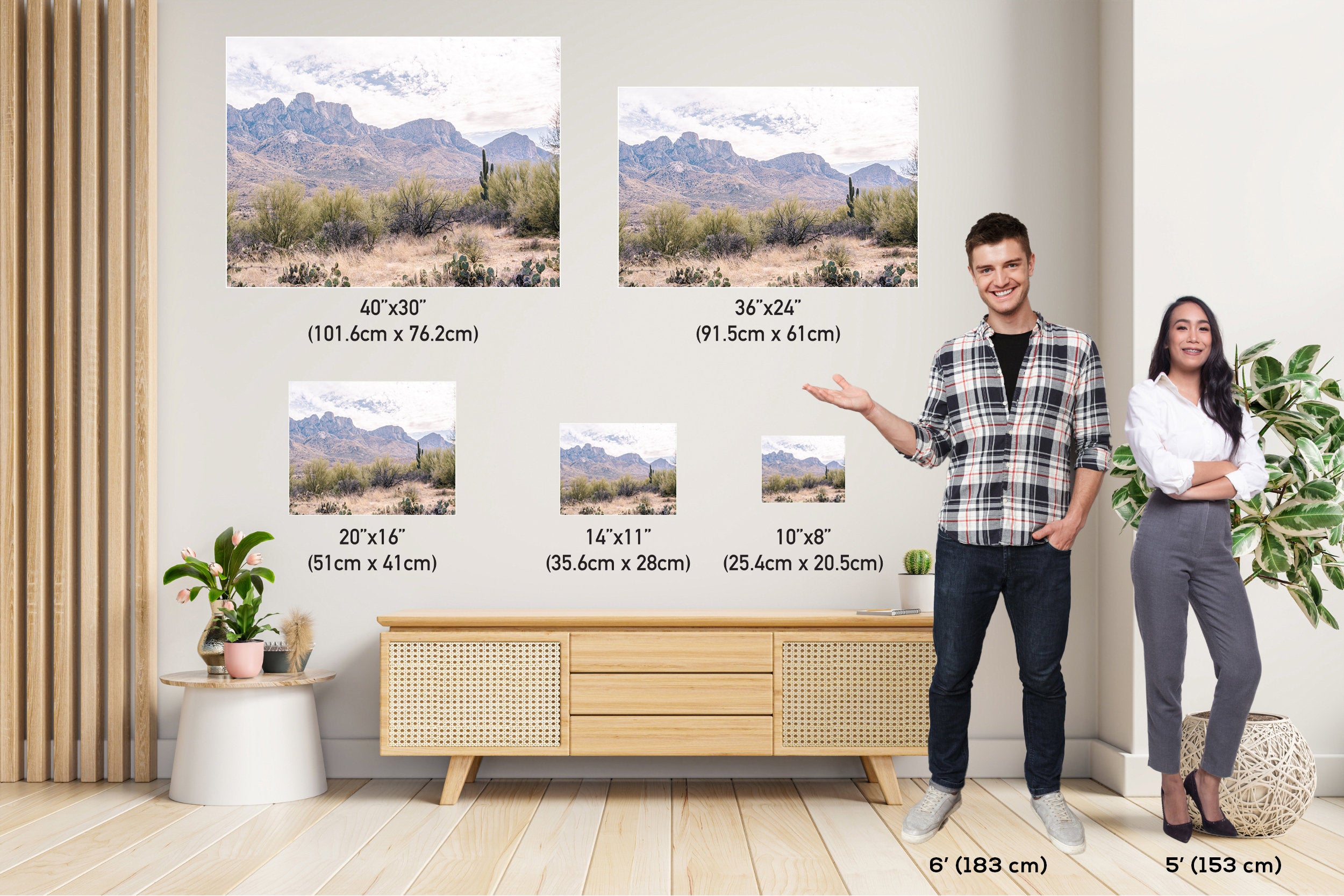 Catalina State Park: Arizona Desert Mountain Landscape Wall Art