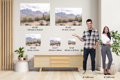 Catalina State Park: Arizona Desert Mountain Landscape Wall Art