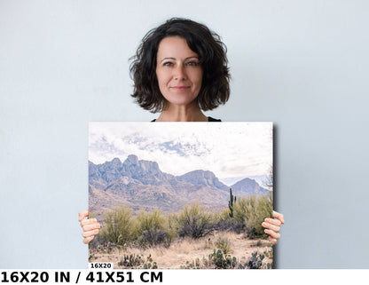 Catalina State Park: Arizona Desert Mountain Landscape Wall Art