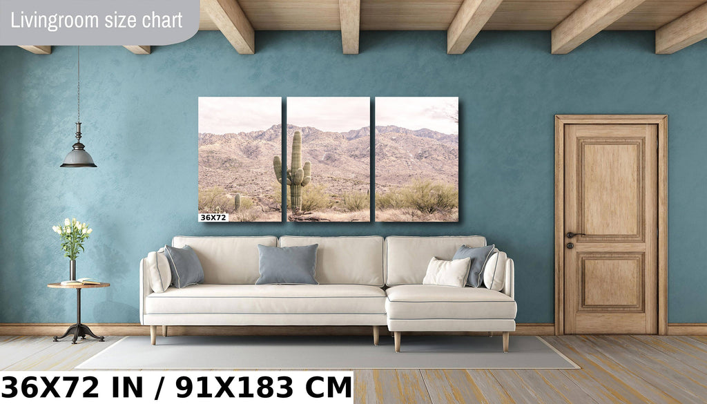 Saguaro Cactus Desert: Catalina Mountains Arizona Landscape