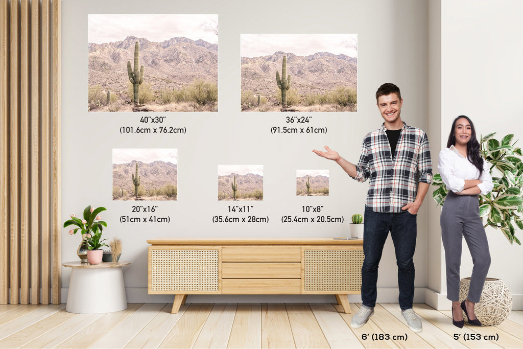 Saguaro Cactus Desert: Catalina Mountains Arizona Landscape