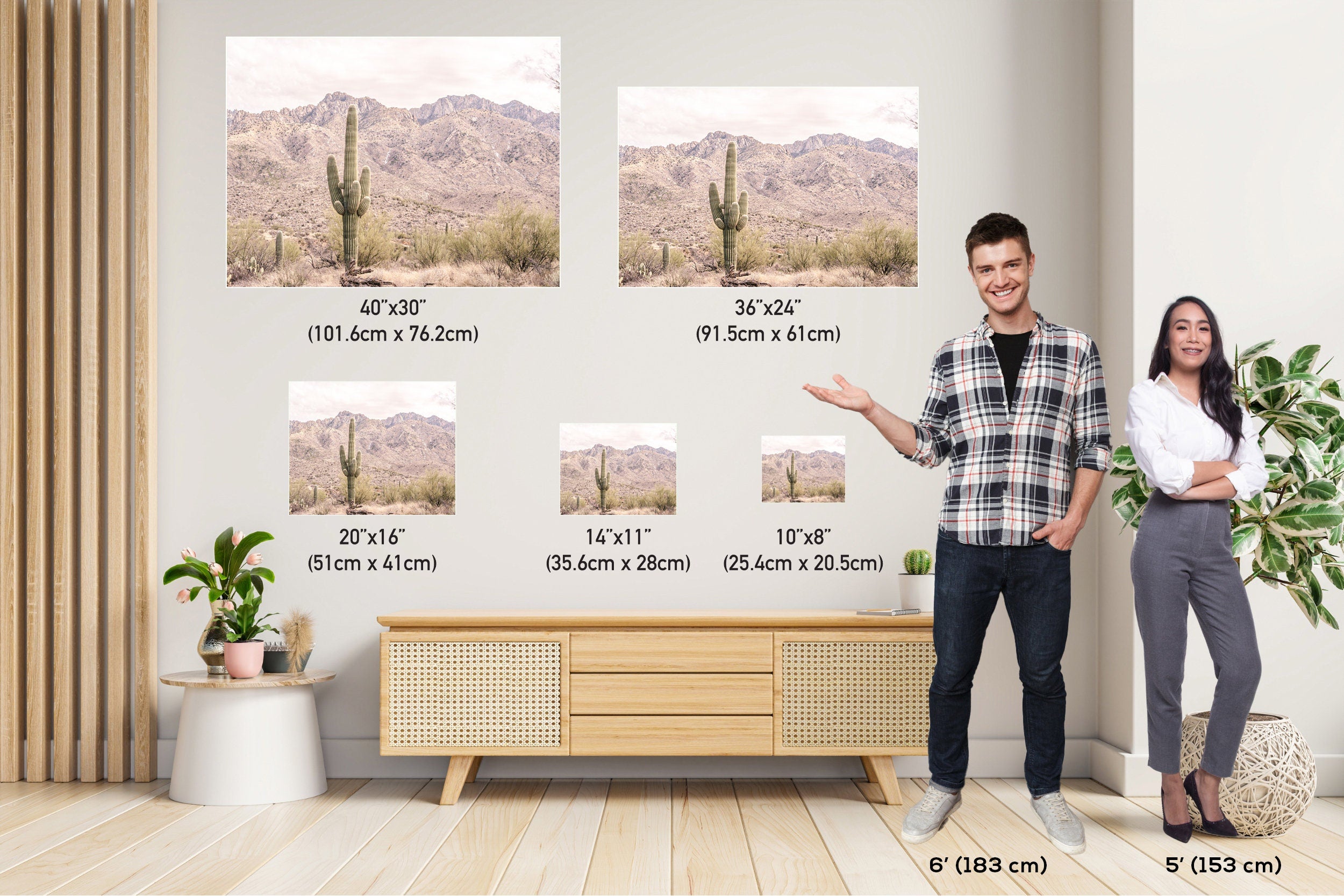 Saguaro Cactus Desert: Catalina Mountains Arizona Landscape