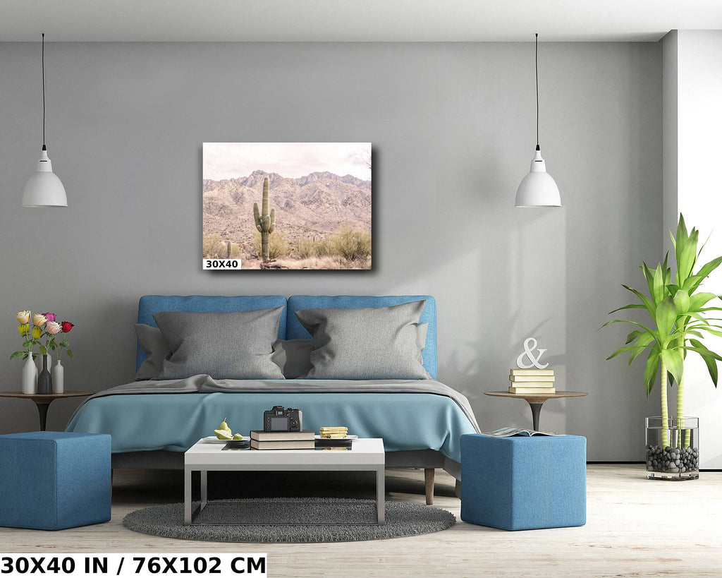 Saguaro Cactus Desert: Catalina Mountains Arizona Landscape