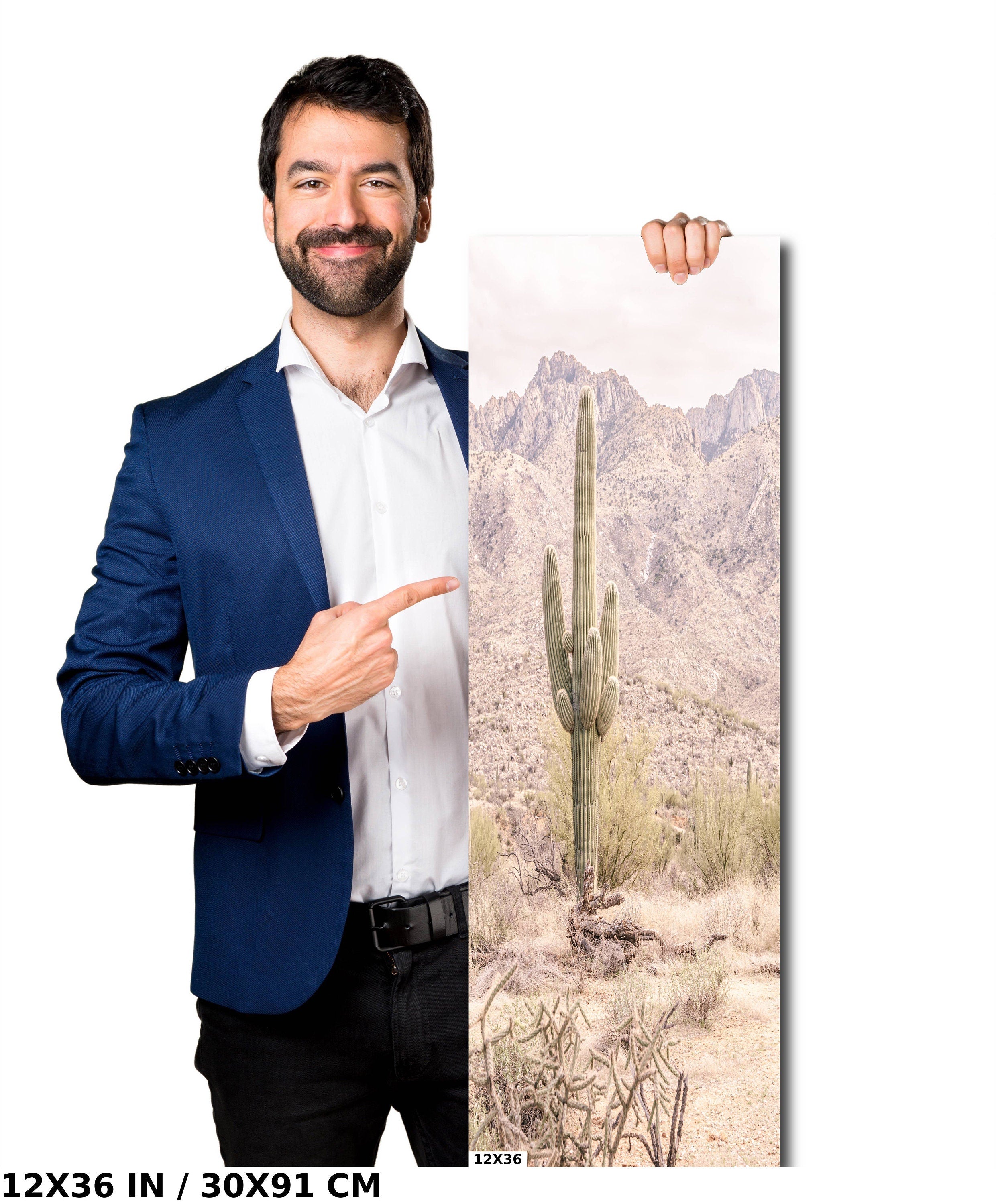 Saguaro Cactus: Catalina Mountains Arizona Southwestern Wall Art