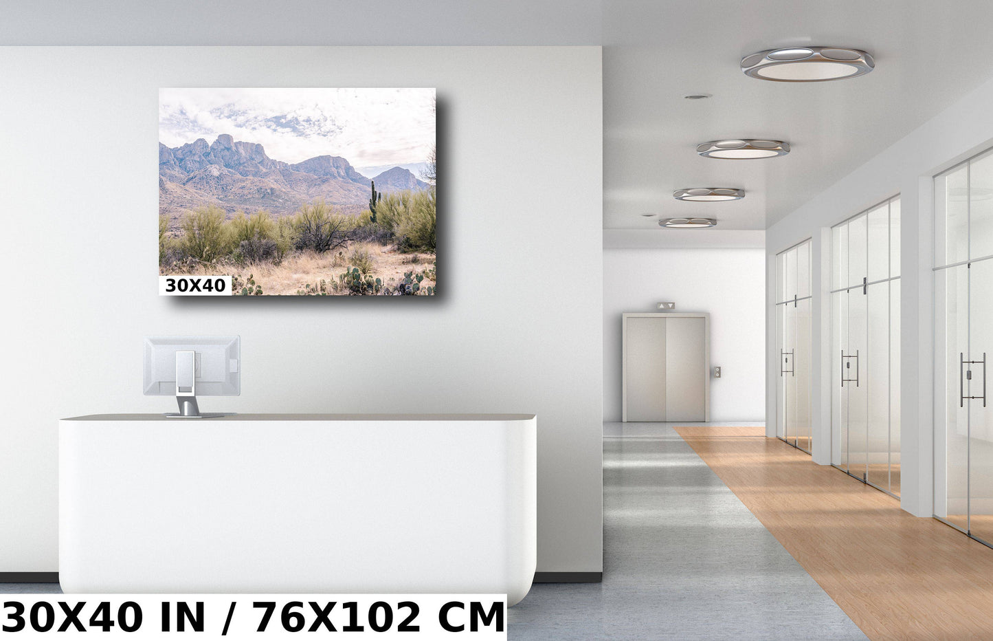 Catalina State Park: Arizona Desert Mountain Landscape Wall Art