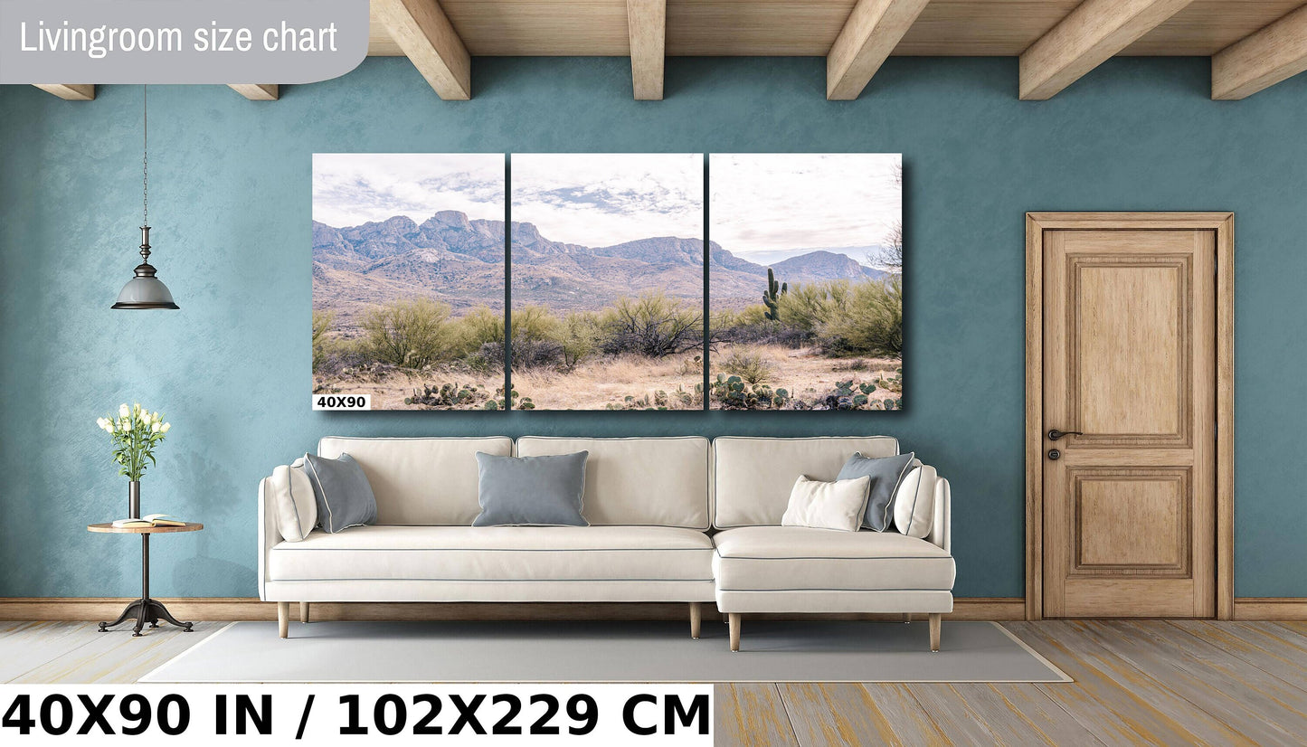 Catalina State Park: Arizona Desert Mountain Landscape Wall Art