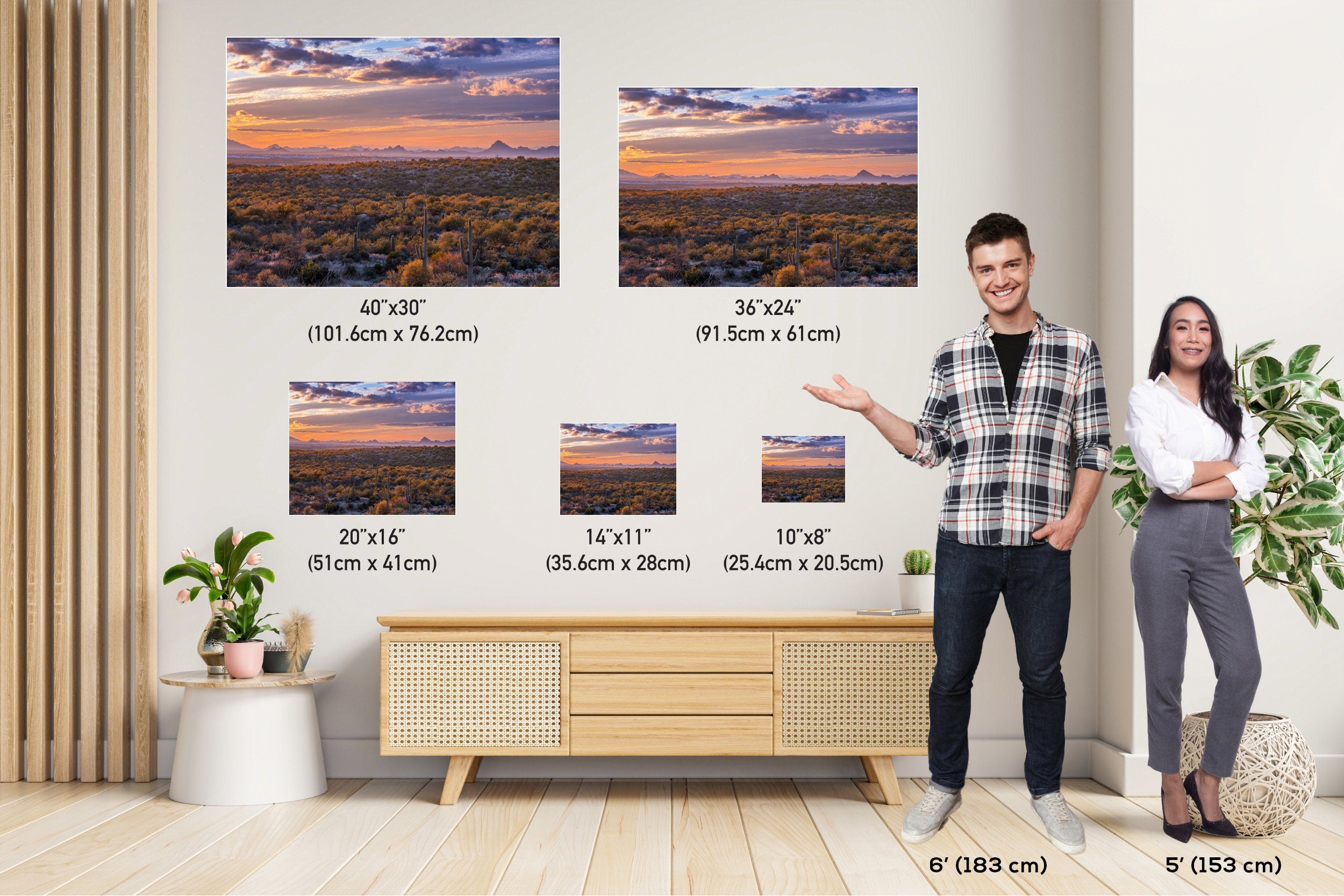 Sonoran Sunset Cactus: Saguaro National Park Landscape Wall Art