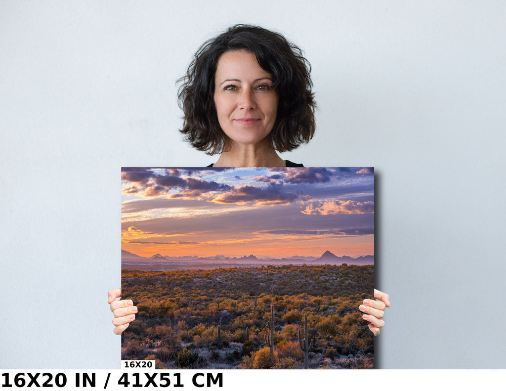 Sonoran Sunset Cactus: Saguaro National Park Landscape Wall Art