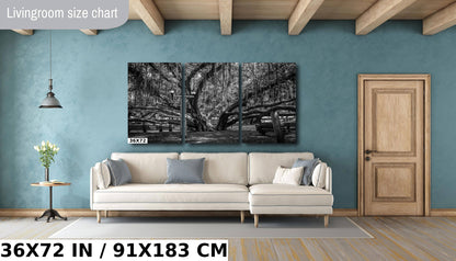 Shade of Serenity: Laihana Hawaii Banyan Tree Black and White Photography Maui Nature Canvas Metal Print Wall Art