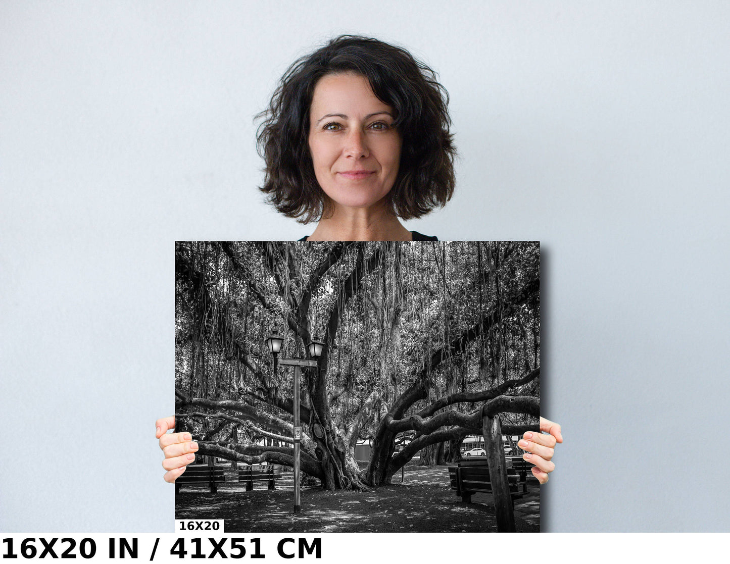 Shade of Serenity: Laihana Hawaii Banyan Tree Black and White Photography Maui Nature Canvas Metal Print Wall Art