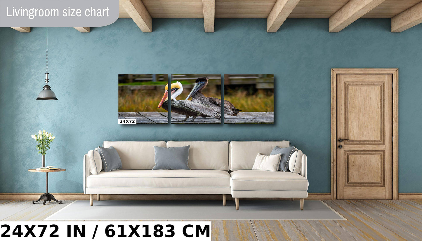 On The Wings of Love: Brown Pelican Male and Female Wall Art Metal Aluminum Print Water Bird Photography