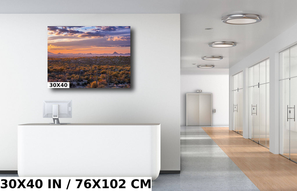 Sonoran Sunset Cactus: Saguaro National Park Landscape Wall Art