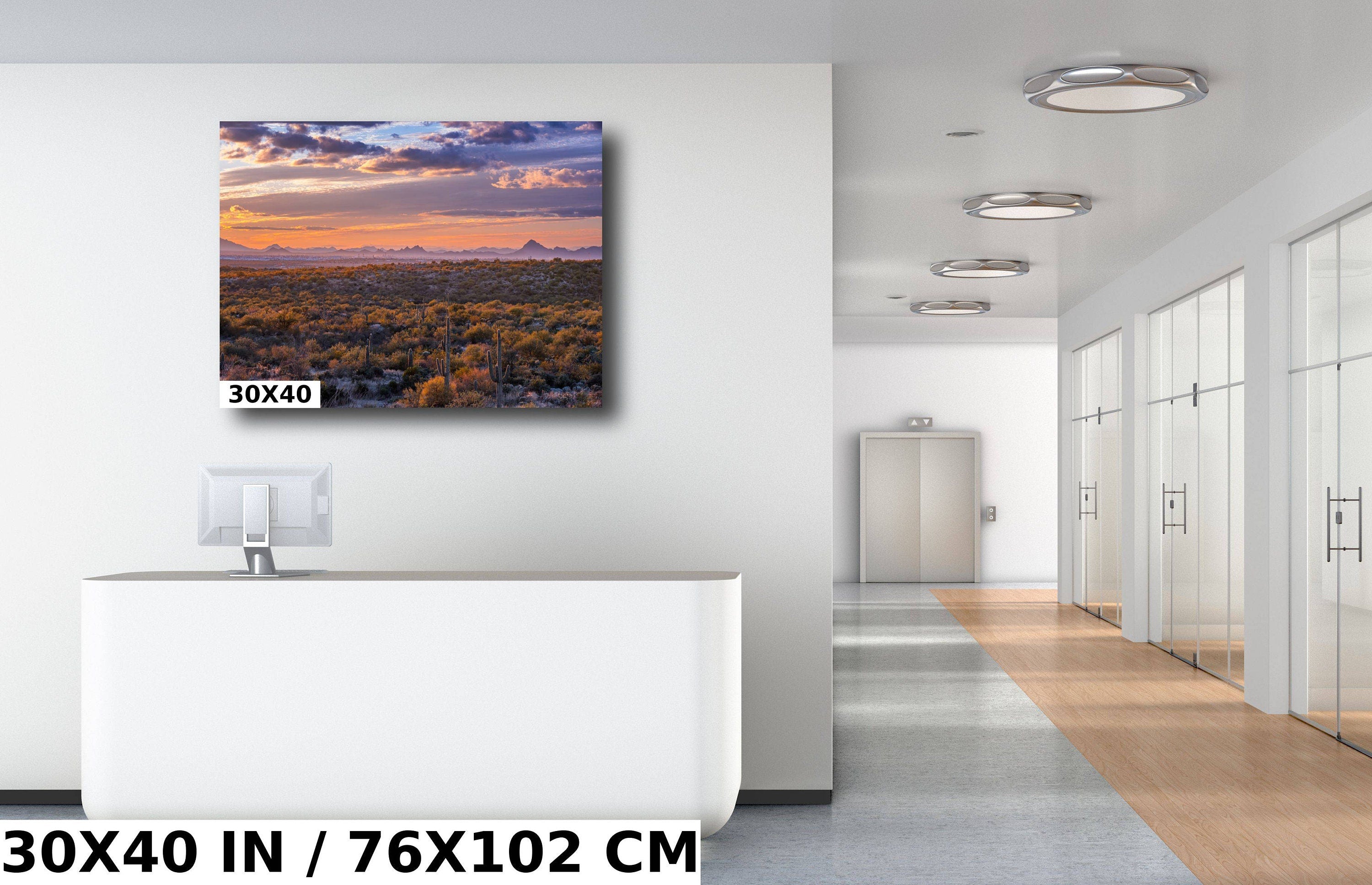 Sonoran Sunset Cactus: Saguaro National Park Landscape Wall Art