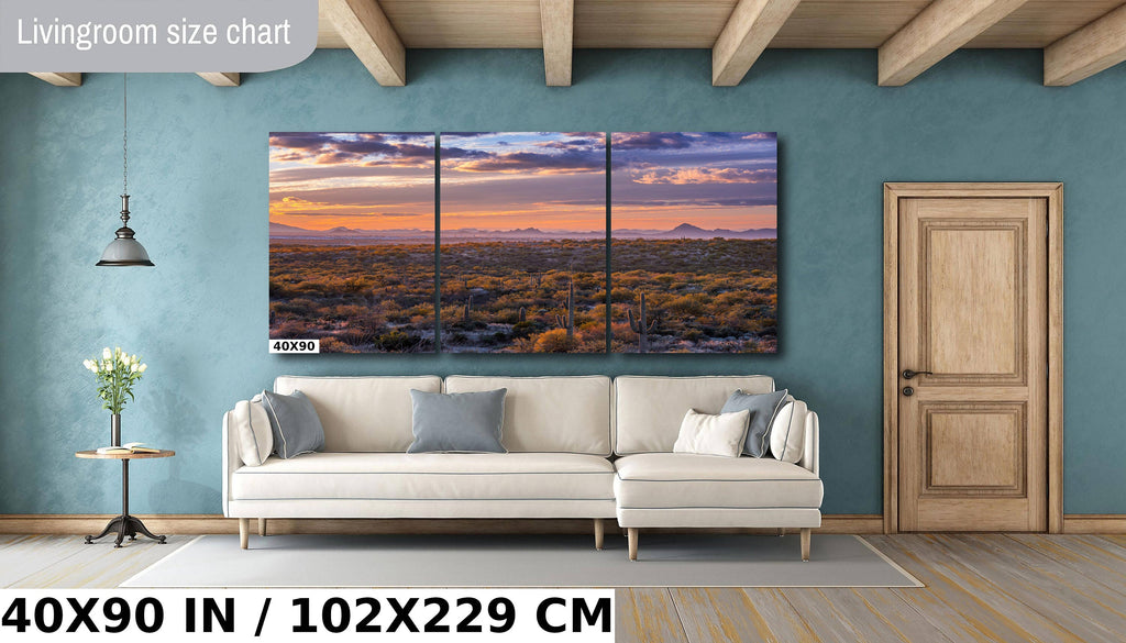 Sonoran Sunset Cactus: Saguaro National Park Landscape Wall Art