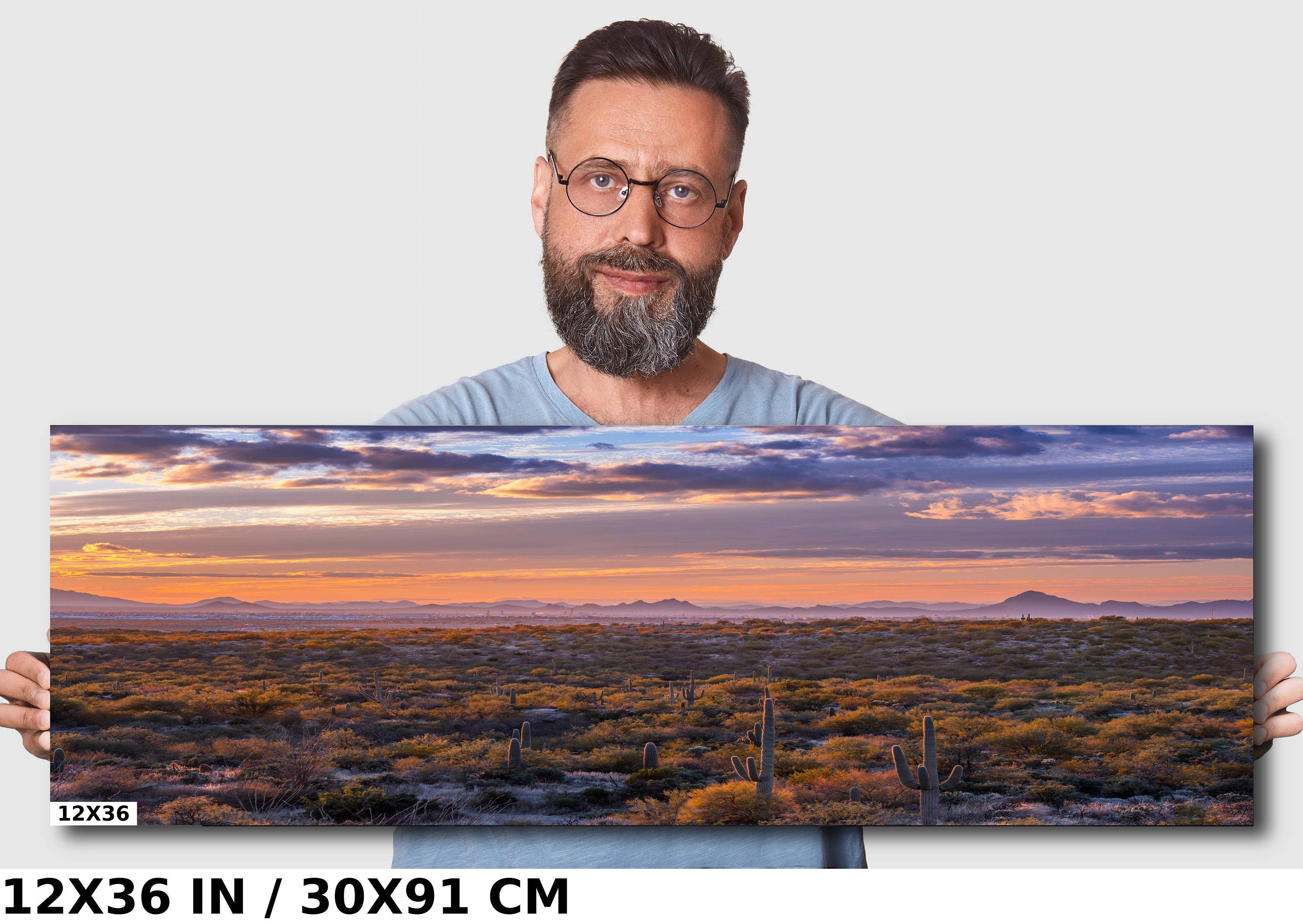 Sonoran Sunset Cactus: Saguaro National Park Landscape Wall Art