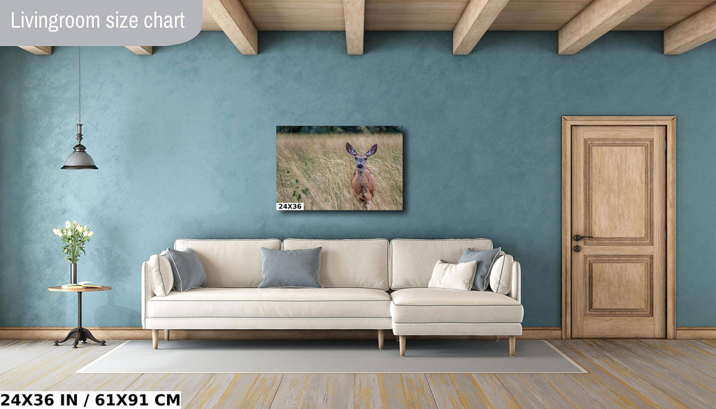 Quiet Meadow Wanderer: Roe Deer at Antelope Island State Park Wall Art Wildlife Photography Metal Acrylic Print
