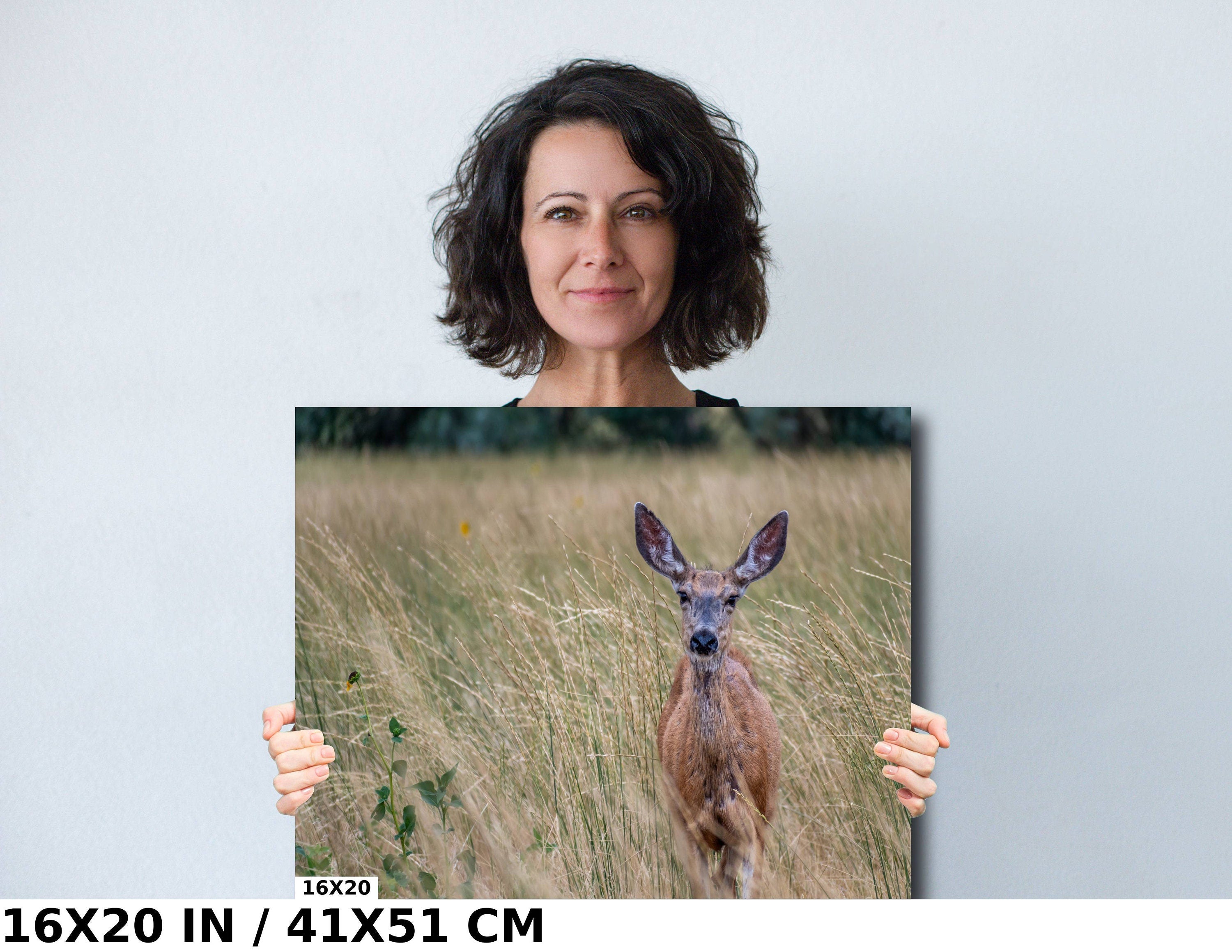Quiet Meadow Wanderer: Roe Deer at Antelope Island State Park Wall Art Wildlife Photography Metal Acrylic Print