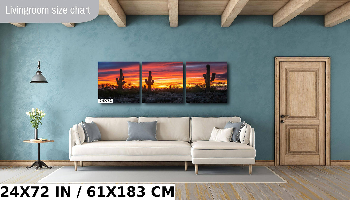 Dazzling Desert Sunset: Saguaro Cactus on Gold Canyon’s Hieroglyphic Trail Metal Canvas Print Arizona Wall Art Photography