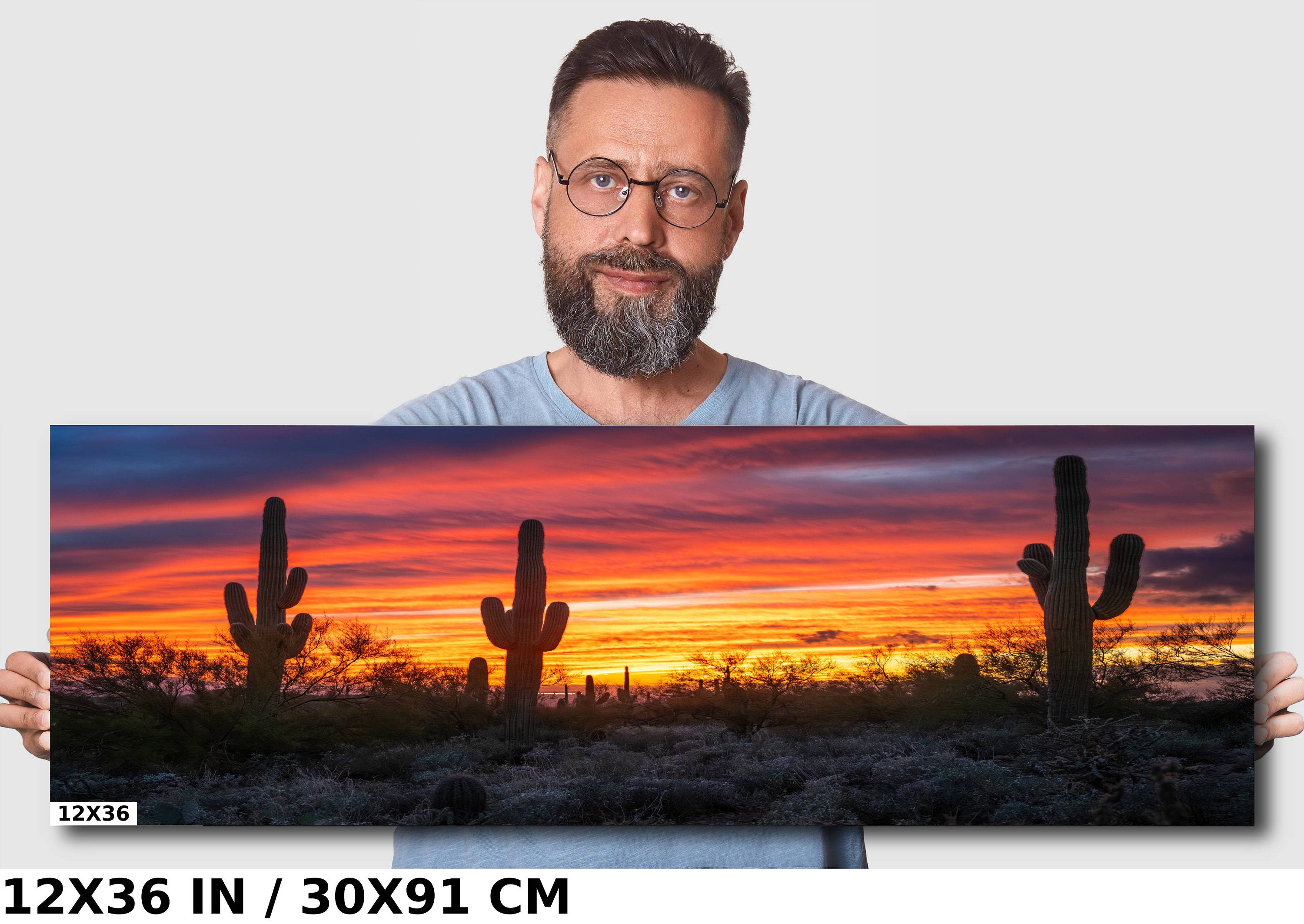 Dazzling Desert Sunset: Saguaro Cactus on Gold Canyon’s Hieroglyphic Trail Metal Canvas Print Arizona Wall Art Photography
