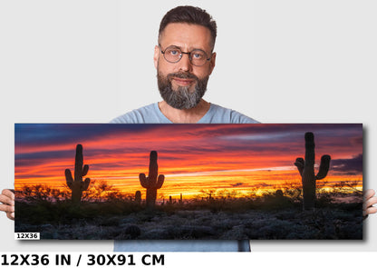 Dazzling Desert Sunset: Saguaro Cactus on Gold Canyon’s Hieroglyphic Trail Metal Canvas Print Arizona Wall Art Photography