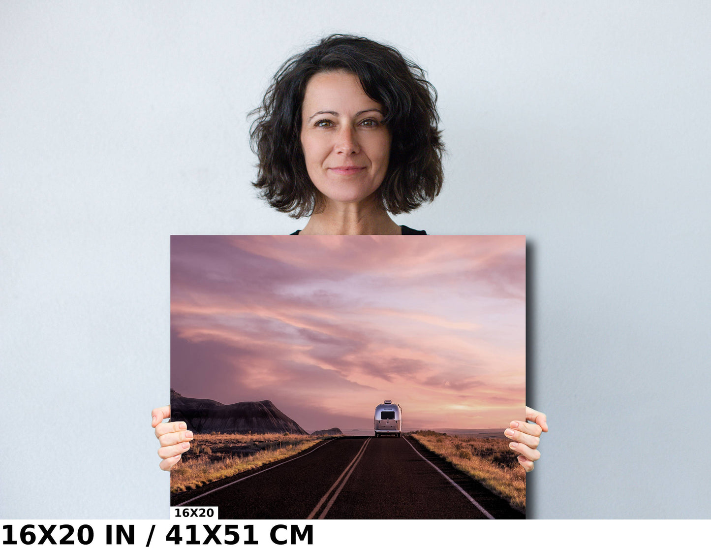 Airstream RV Desert Landscape Photography: Petrified Forest Wall Art