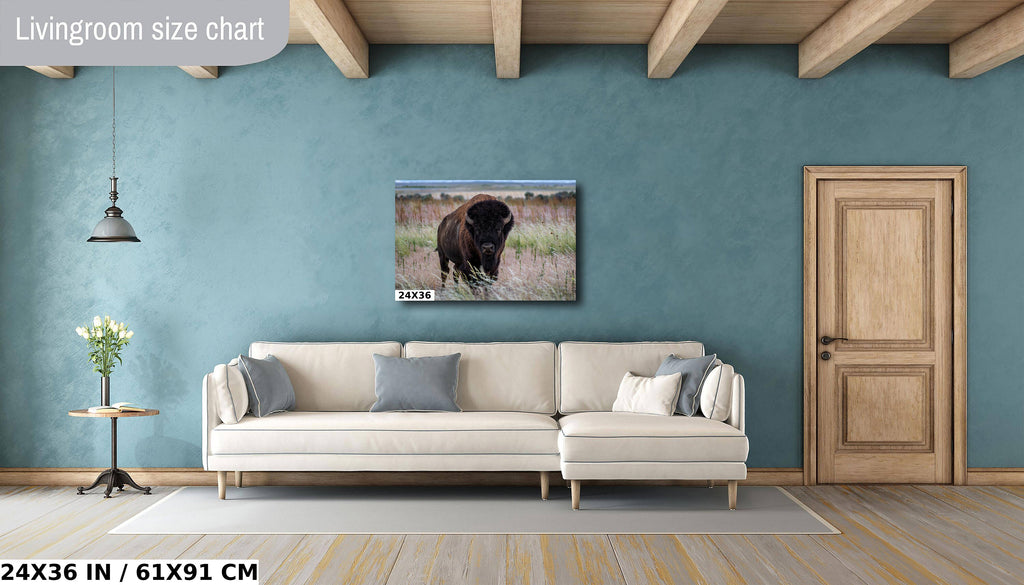 The American Buffalo, Majestic Grassland Giant: American Bison Metal Acrylic Canvas Print Utah Wildlife Photography