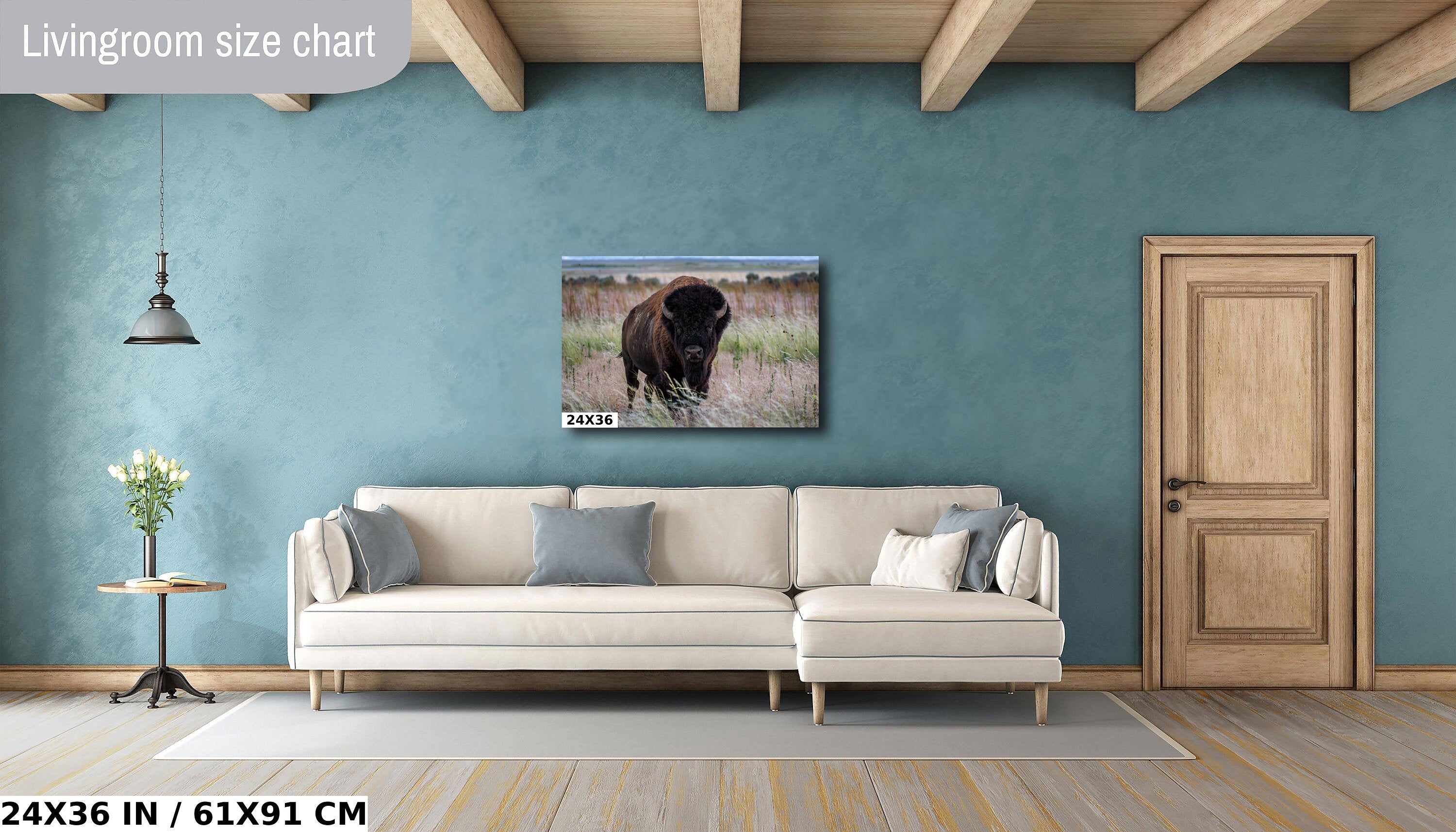 The American Buffalo, Majestic Grassland Giant: American Bison Metal Acrylic Canvas Print Utah Wildlife Photography