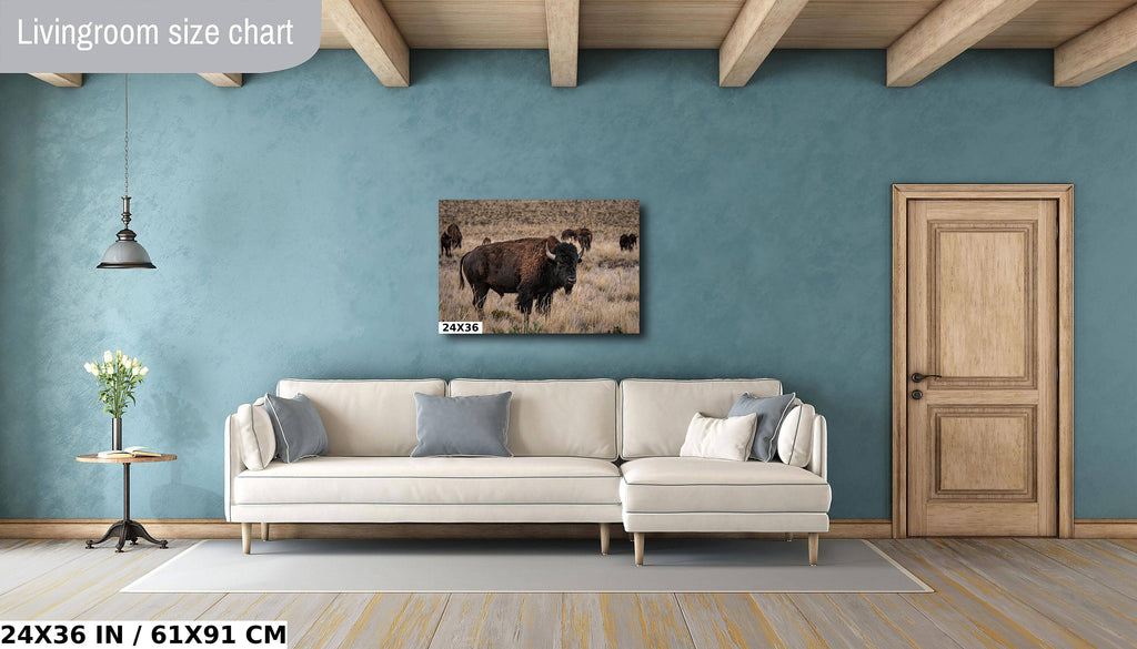 American Bison Photography: Utah Wildlife Metal Canvas Print