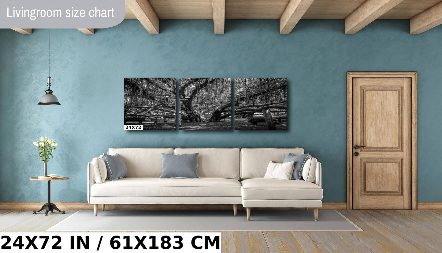 Shade of Serenity: Laihana Hawaii Banyan Tree Black and White Photography Maui Nature Canvas Metal Print Wall Art