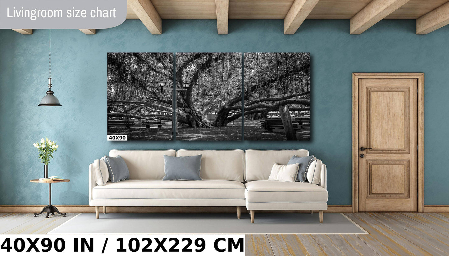Shade of Serenity: Laihana Hawaii Banyan Tree Black and White Photography Maui Nature Canvas Metal Print Wall Art