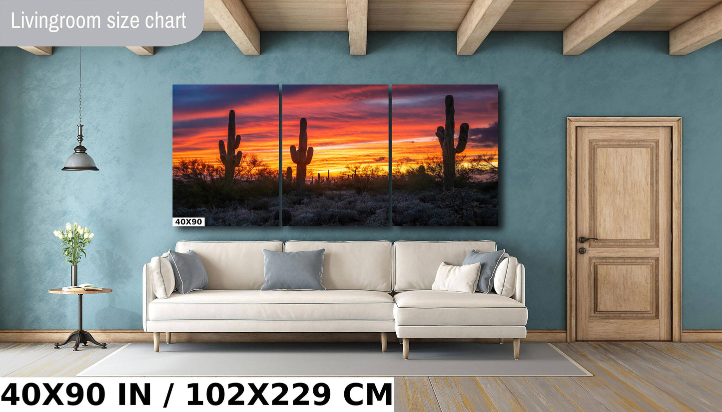 Dazzling Desert Sunset: Saguaro Cactus on Gold Canyon’s Hieroglyphic Trail Metal Canvas Print Arizona Wall Art Photography