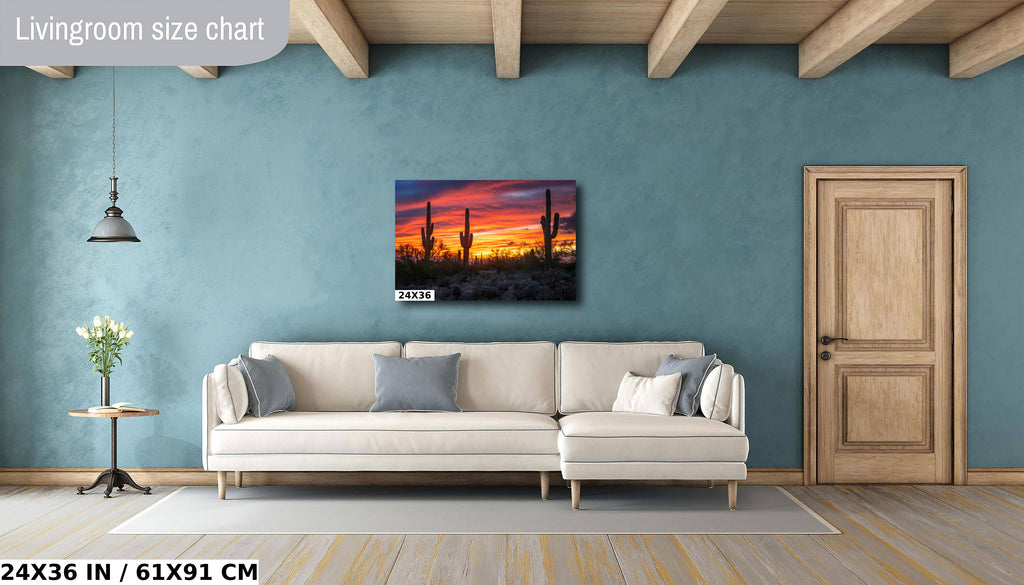 Dazzling Desert Sunset: Saguaro Cactus on Gold Canyon’s Hieroglyphic Trail Metal Canvas Print Arizona Wall Art Photography