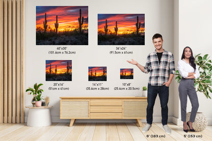 Dazzling Desert Sunset: Saguaro Cactus on Gold Canyon’s Hieroglyphic Trail Metal Canvas Print Arizona Wall Art Photography