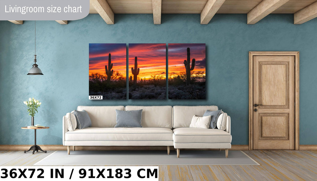 Dazzling Desert Sunset: Saguaro Cactus on Gold Canyon’s Hieroglyphic Trail Metal Canvas Print Arizona Wall Art Photography