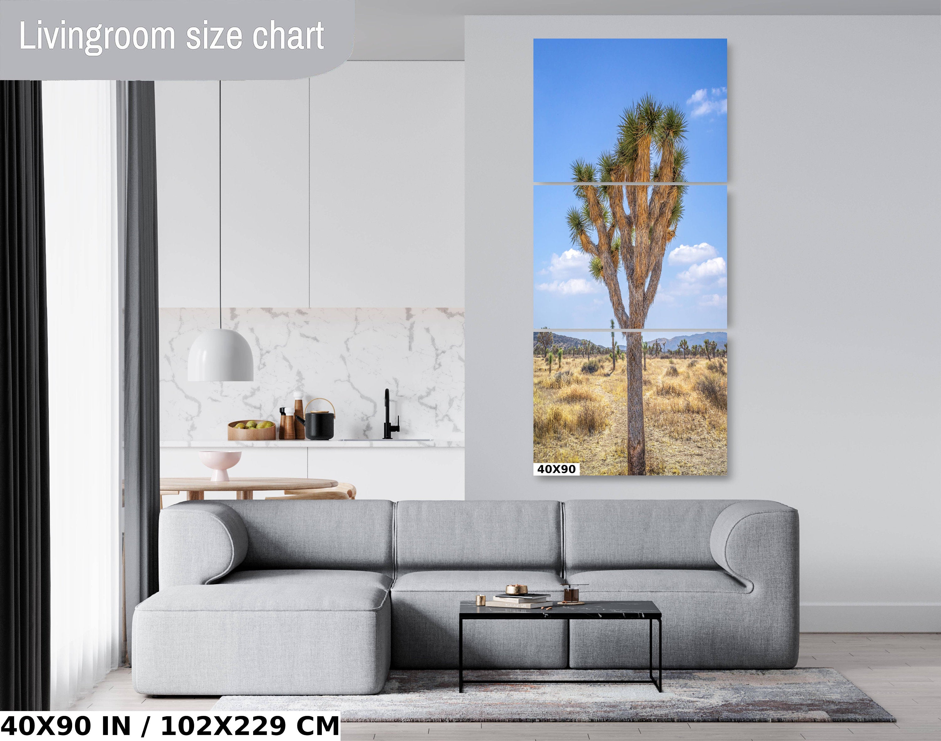Joshua Tree National Park: Mojave Desert Landscape Wall Art Print
