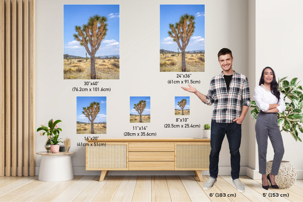 Joshua Tree National Park: Mojave Desert Landscape Wall Art Print
