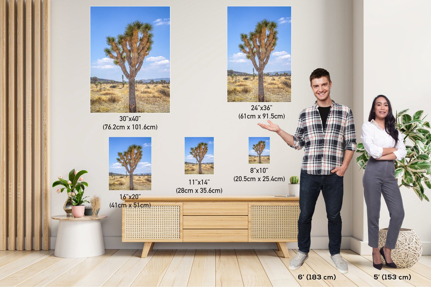 Joshua Tree Wall Art - California Desert Landscape Canvas Print | Mojave Desert Decor