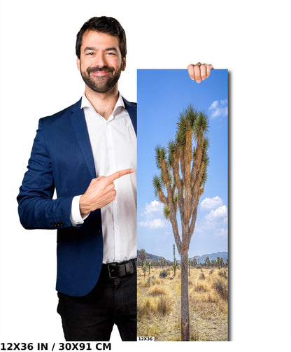 Joshua Tree Wall Art - California Desert Landscape Canvas Print | Mojave Desert Decor