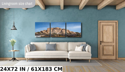 Joshua Tree Wall Art – California Desert Rock Formations Canvas Print