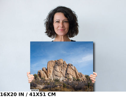 Joshua Tree Wall Art – California Desert Rock Formations Canvas Print