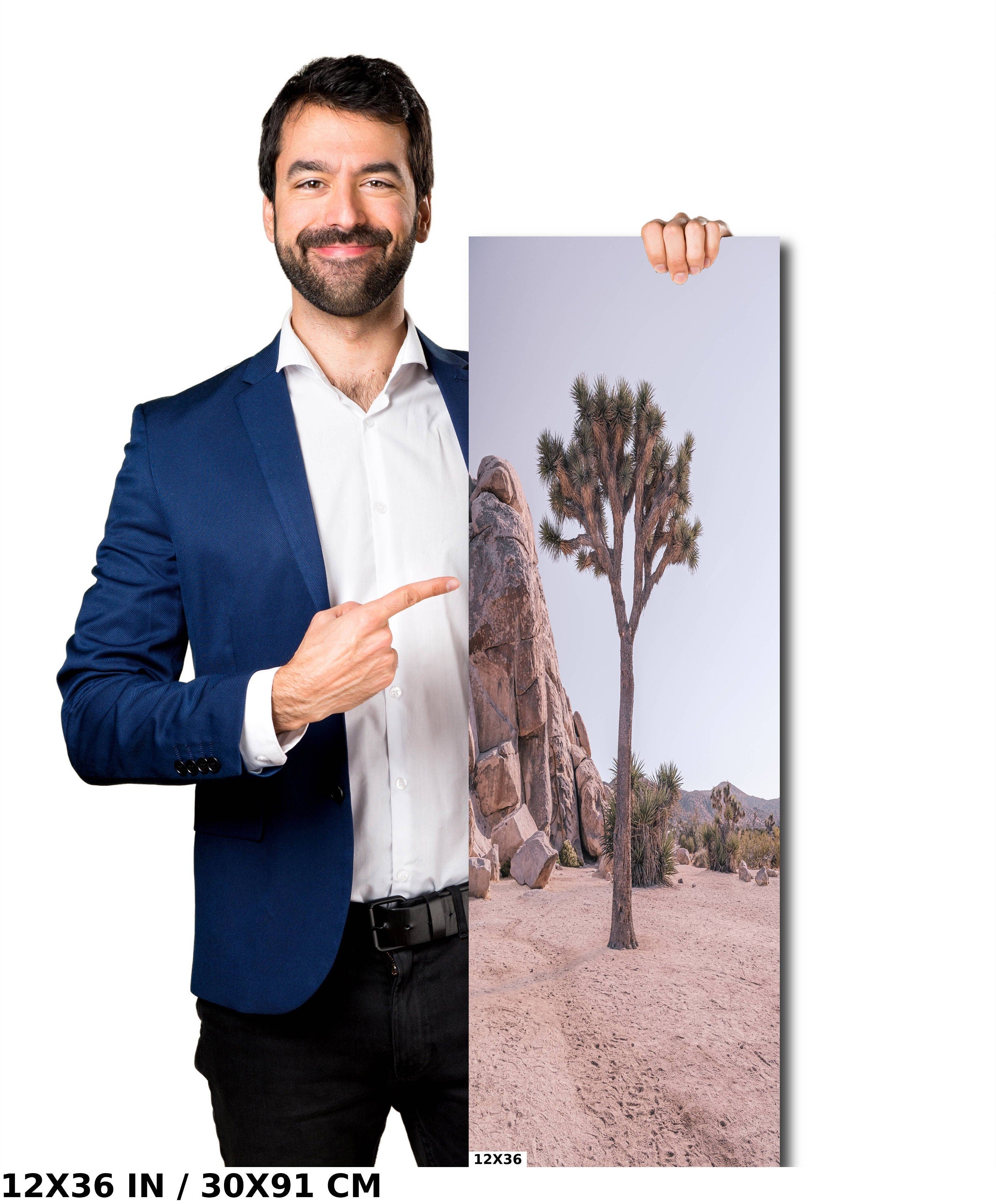 Joshua Tree National Park Print: California Desert Landscape