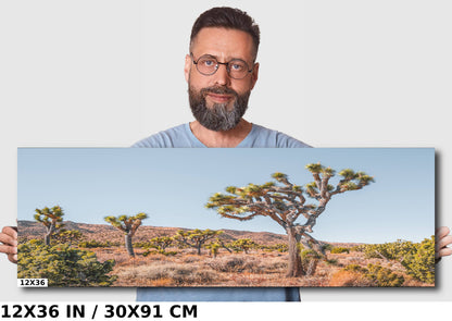 Joshua Tree Wall Art – California Desert Landscape Canvas Print | Ready to Hang